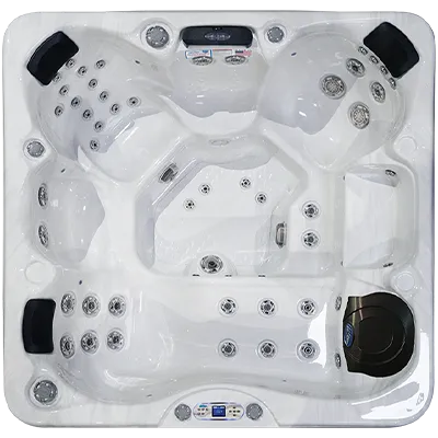 Avalon EC-849L hot tubs for sale in Baltimore