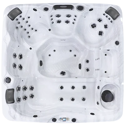 Avalon EC-867L hot tubs for sale in Baltimore